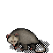 Avatar de Opossum